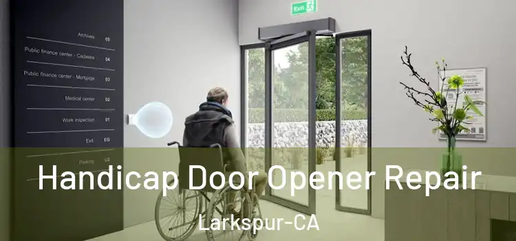 Handicap Door Opener Repair Larkspur-CA