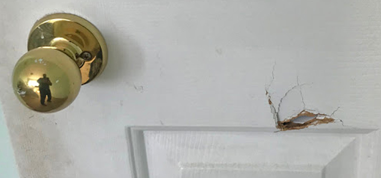 interior door hole repair Larkspur