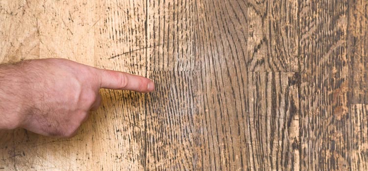 Wood Door Scratch Repair in Larkspur
